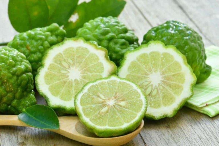 Bergamot Essential Oil: How To Use It
