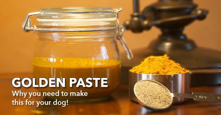 Turmeric Paste for the Pups