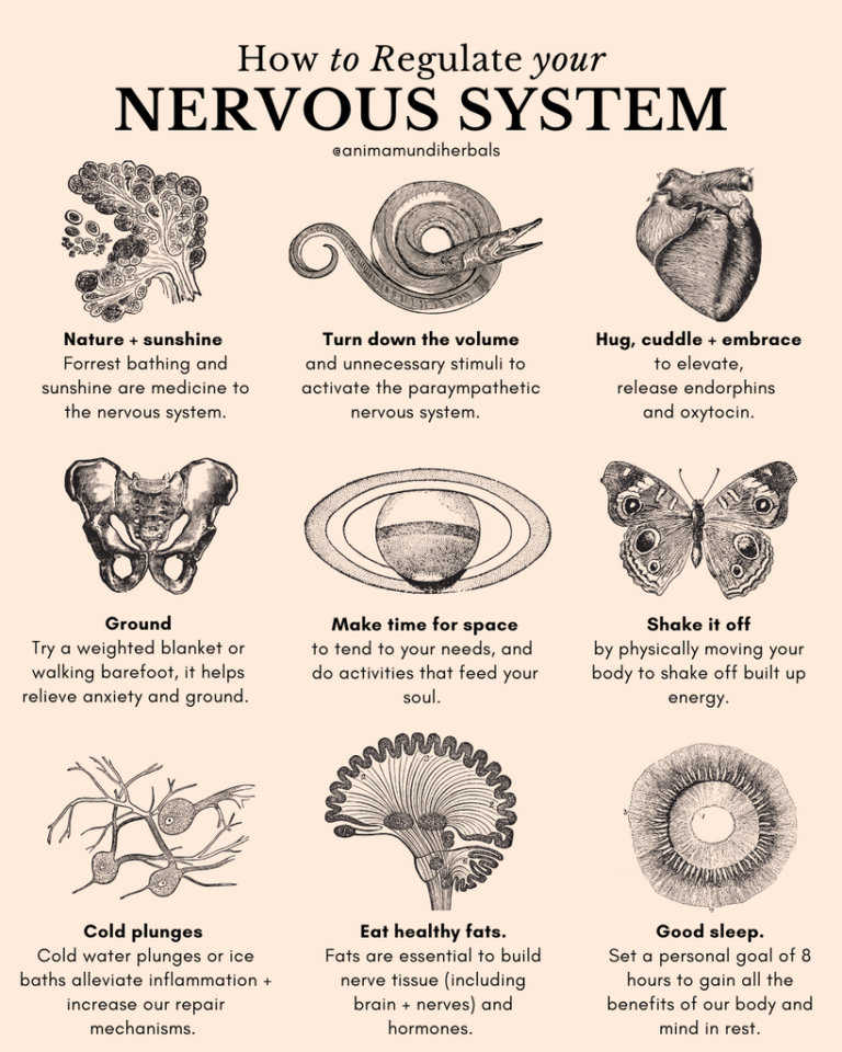 13 Ways to Regulate Your Nervous System